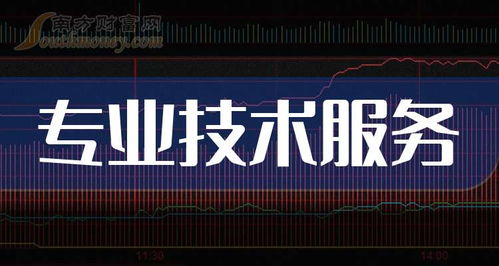 2025年12月31日全球領(lǐng)先的專(zhuān)業(yè)技術(shù)服務(wù)公司盤(pán)點(diǎn) 技術(shù)服務(wù)與技術(shù)開(kāi)發(fā)雙輪驅(qū)動(dòng)